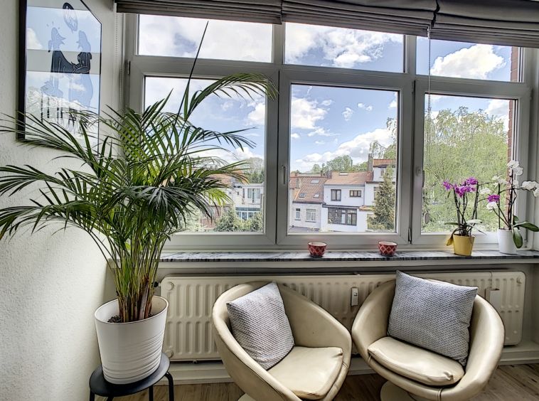 Coin lecture lumineux avec vue sur nature, plantes vertes, fauteuils confortables et décoration apaisante.