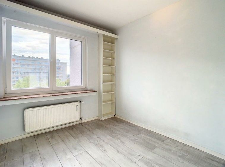 Salle lumineuse et minimaliste à aménager, murs gris clair, grande fenêtre, plancher en bois.