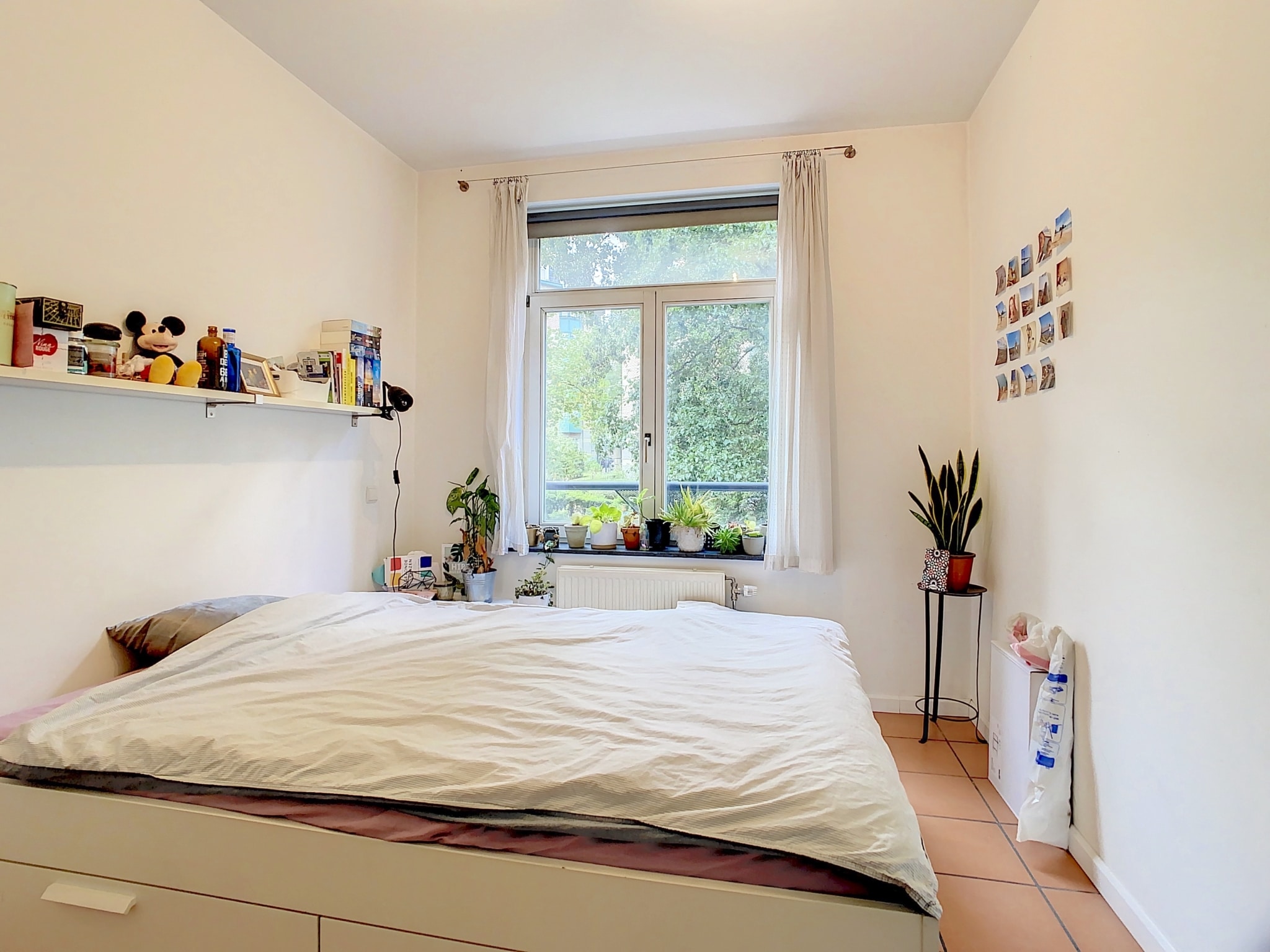 Chambre lumineuse et cosy avec plantes, décorations et souvenirs personnels pour un espace accueillant.