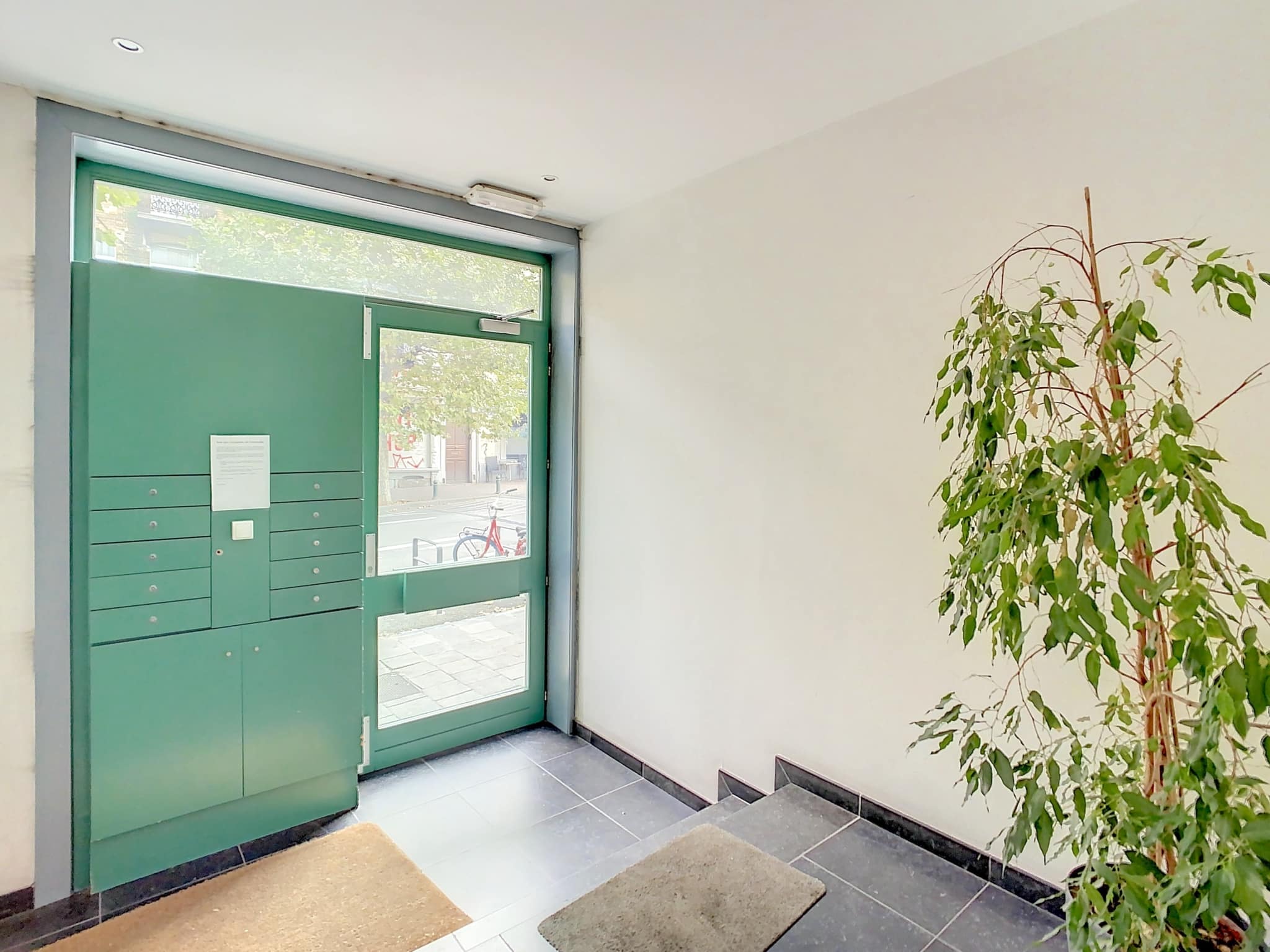 Entrée moderne avec porte verte, boîte aux lettres intégrée et décoration végétale élégante.
