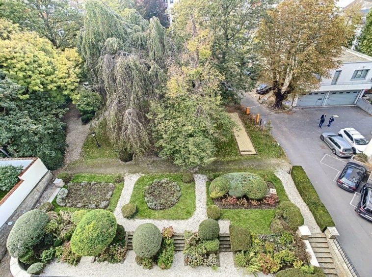 Jardin urbain calme avec arbre ombragé, sentiers, et vue sur la ville animée.