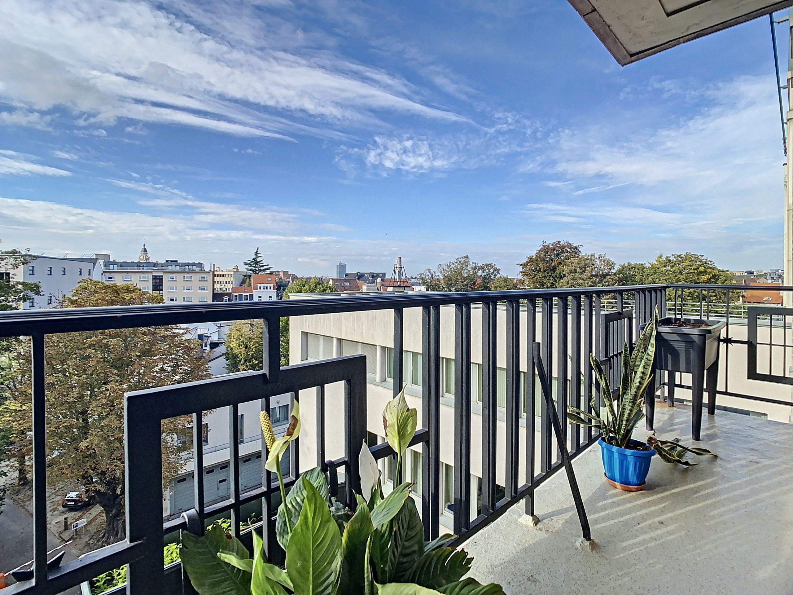 Urban Balcony with City View and Green Planters Garden - Bright 4 bed apartment with terrace - Saint-Gilles