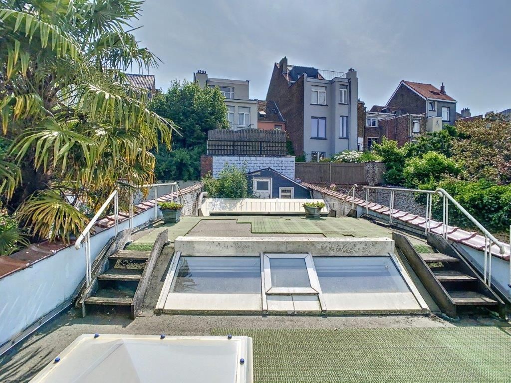 Terrasse urbaine verdoyante avec vue, plantes, palmier et espace détente en plein centre-ville.