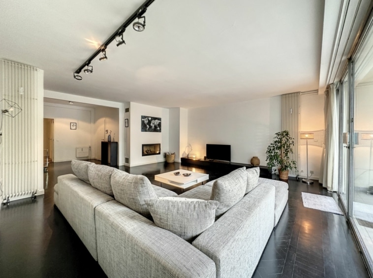 Salon contemporain lumineux avec canapé gris, bois clair, plantes vertes et lumière naturelle.