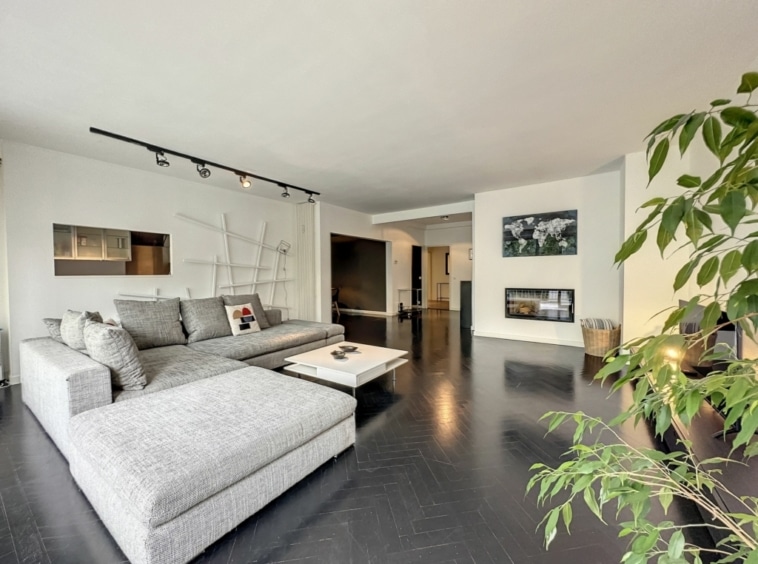 Salon moderne minimaliste avec canapé gris, plantes vertes, mobilier épuré et luminosité naturelle.