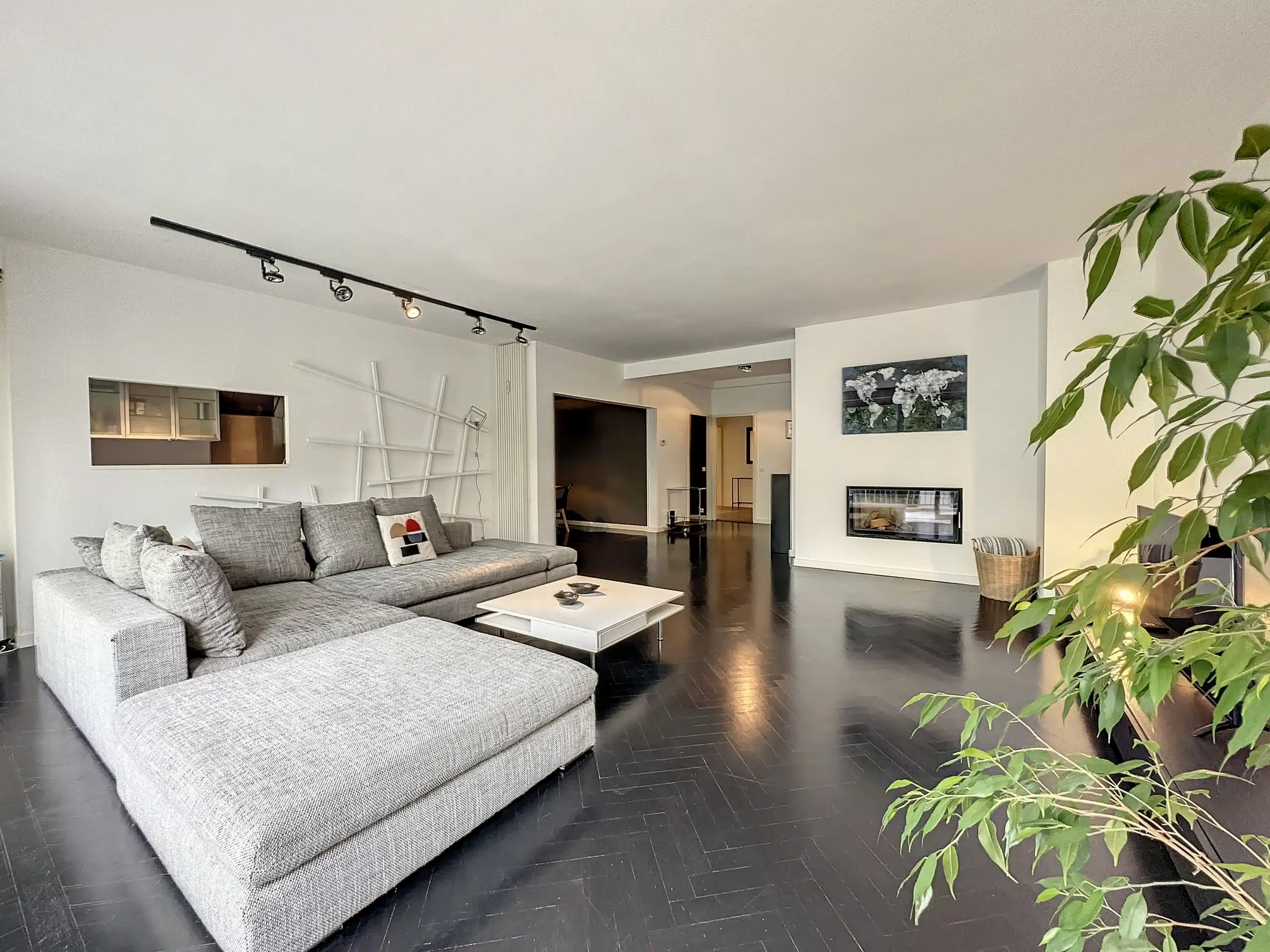 Minimalist Modern Living Room with Barn and Green Plants Living room - Superb 2 bedroom apartment, terraces & garage - Brugmann - Uccle