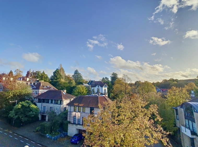 Quartier résidentiel automnal paisible avec maisons colorées, arbres aux feuilles dorées et ciel bleu.