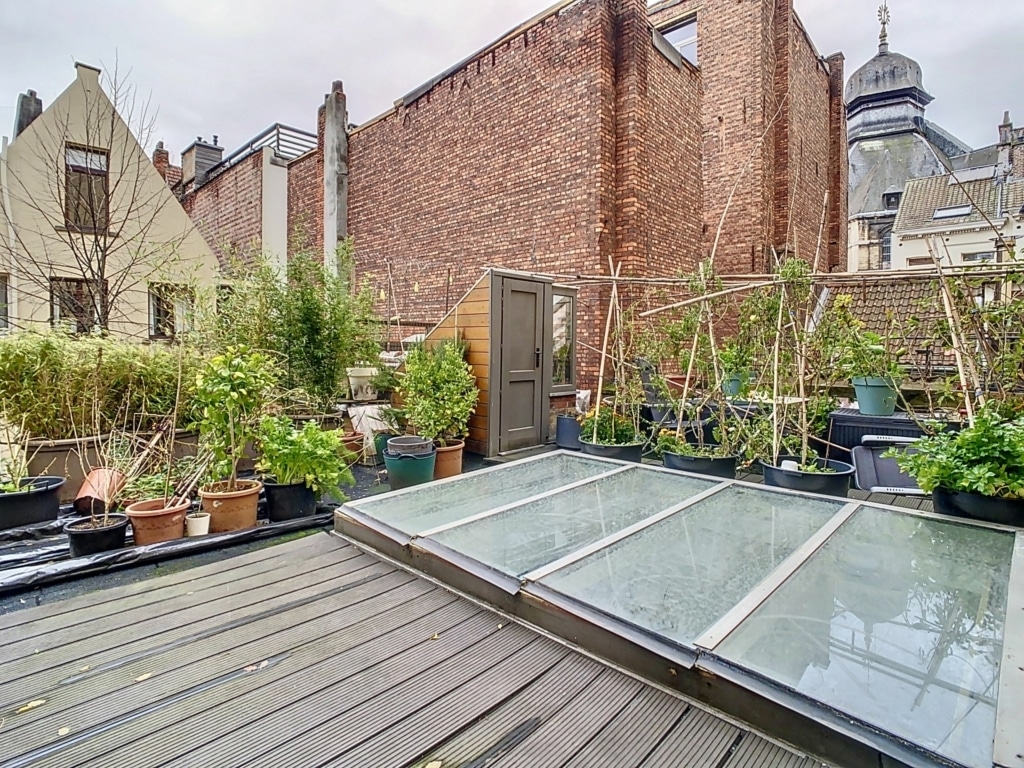 Jardin urbain sur terrasse entre bâtiments avec plants, bois, verre et mur en briques rouges.