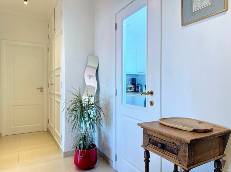 Entrée lumineuse moderne avec meubles blancs, plante verte, porte dorée et décor vintage.