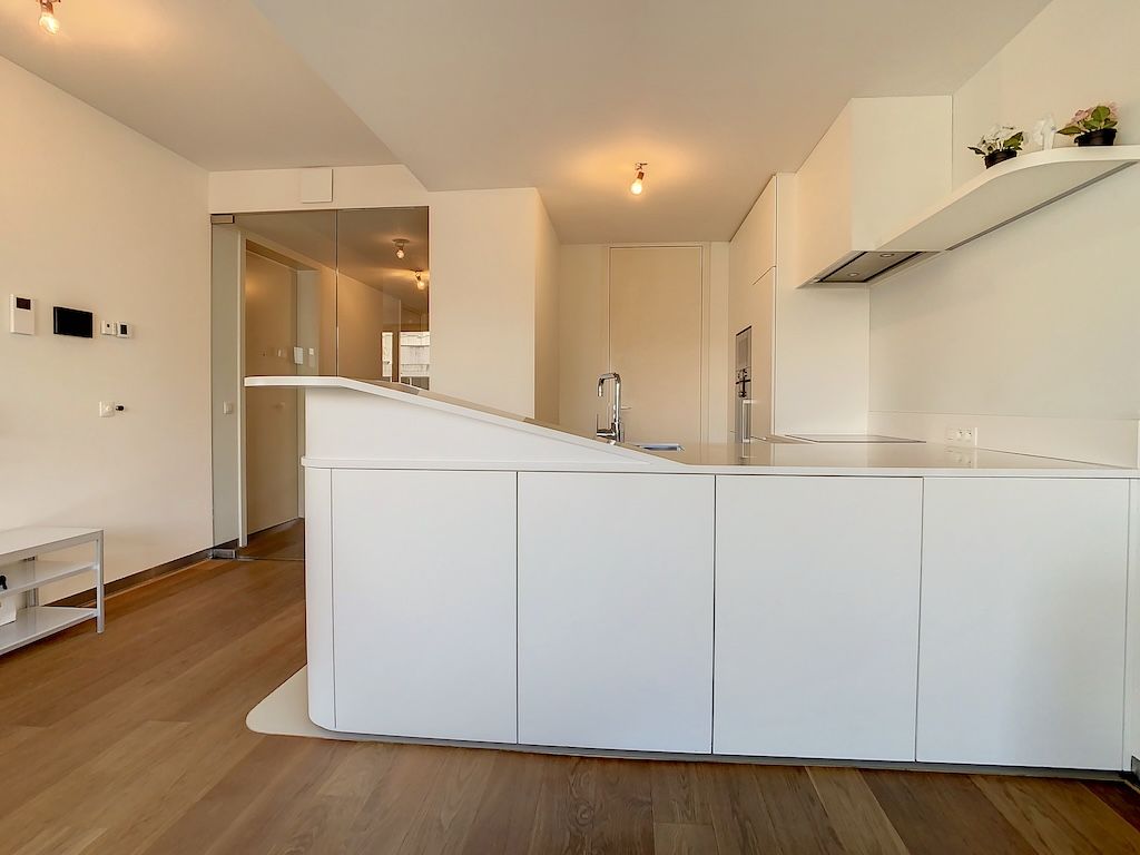 Espace moderne blanc, lumineux, minimaliste avec cuisine épurée, parquet en bois et touches verdoyantes.