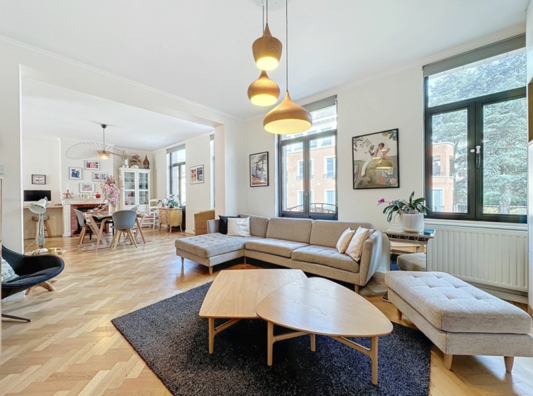 Salon lumineux avec canapé moderne, tapis foncé, décor artistique et ambiance chaleureuse.