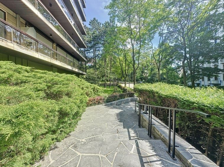 Sentier de pierre entouré de verdure menant à un bâtiment moderne en harmonie avec la nature.