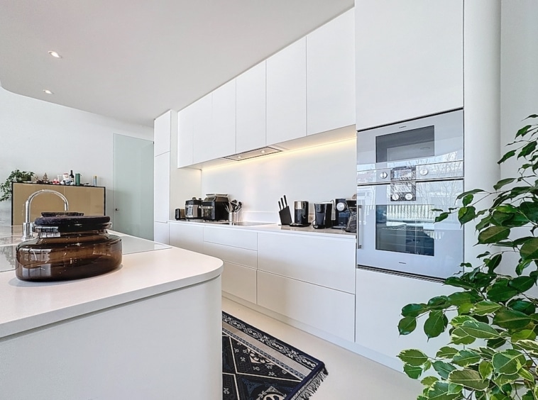 Cuisine moderne et minimaliste avec électroménagers noirs, éclairage chaleureux et touche de verdure.