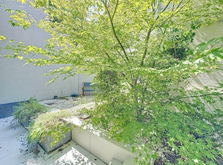 Espace extérieur moderne avec arbre feuillu, mobilier en pierre et ambiance relaxante.