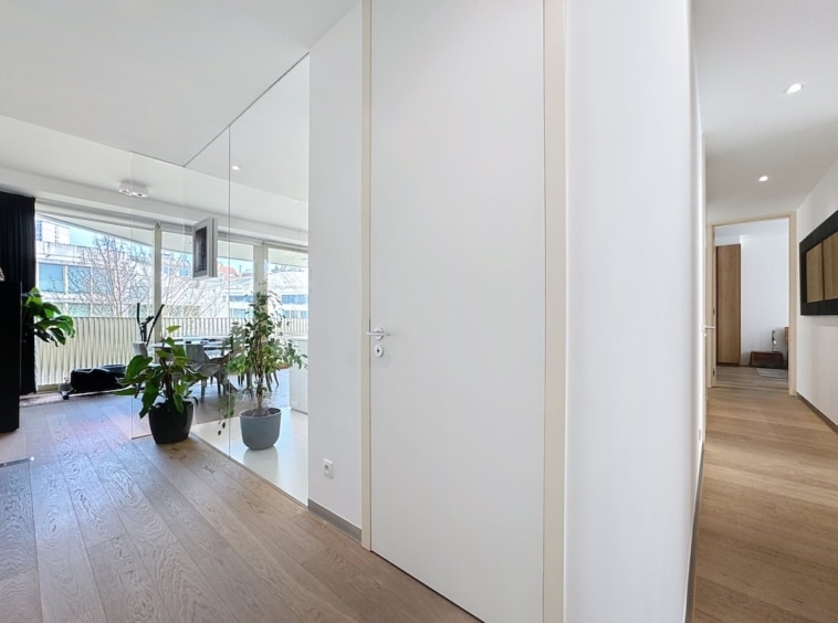 Hall lumineux moderne avec porte blanche, plantes, bois clair et espace de vie convivial.
