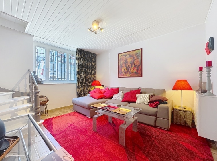 Salon moderne chaleureux avec canapé gris, coussins rouges, tapis moelleux et décoration colorée.