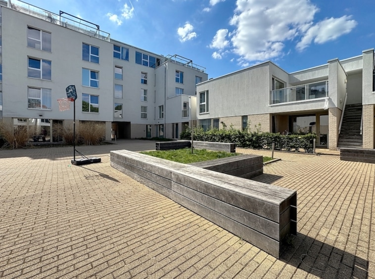 Courtyard moderne avec banc en bois, verdure et architecture contemporaine lumineuse.