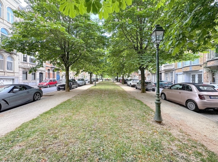 Rue arborée calme avec voitures, lampadaires classiques et façades élégantes, harmonie nature et ville.