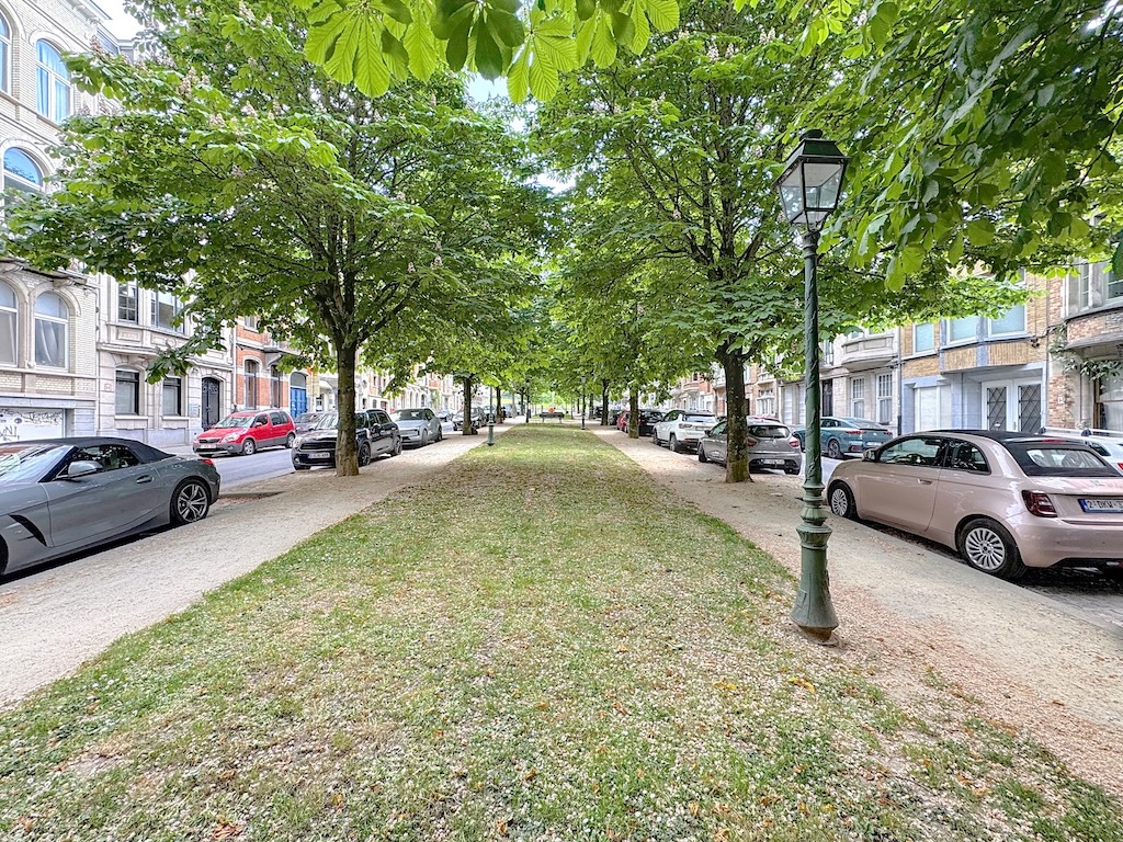 Rue arborée calme avec voitures, lampadaires classiques et façades élégantes, harmonie nature et ville.