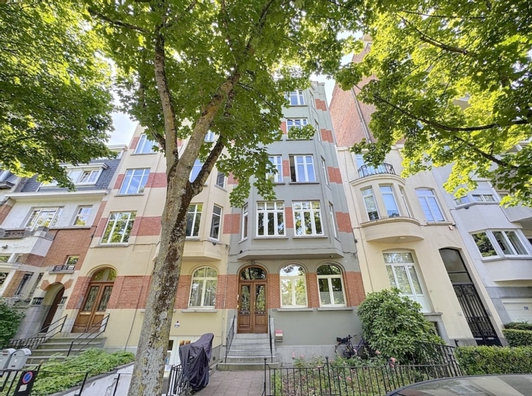 Rue résidentielle élégante avec maisons en briques, arbres ombragés et ambiance paisible.