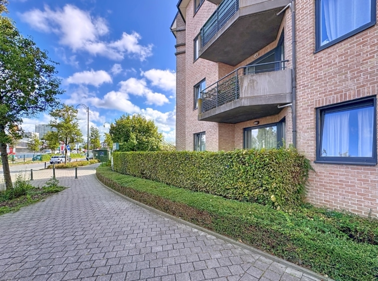 Sentier résidentiel moderne avec haie, arbres, ciel bleu et architecture contemporaine chaleureuse.