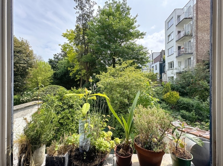 Balcon végétalisé avec vue sur jardin urbain, grand arbre et ciel bleu.