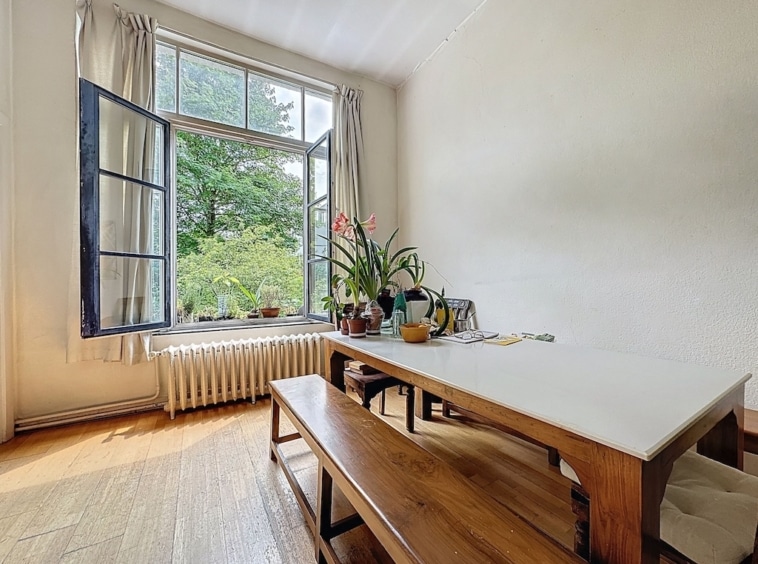 Coin repas lumineux avec vue nature, plantes vertes, bois chaleureux et ambiance cosy.