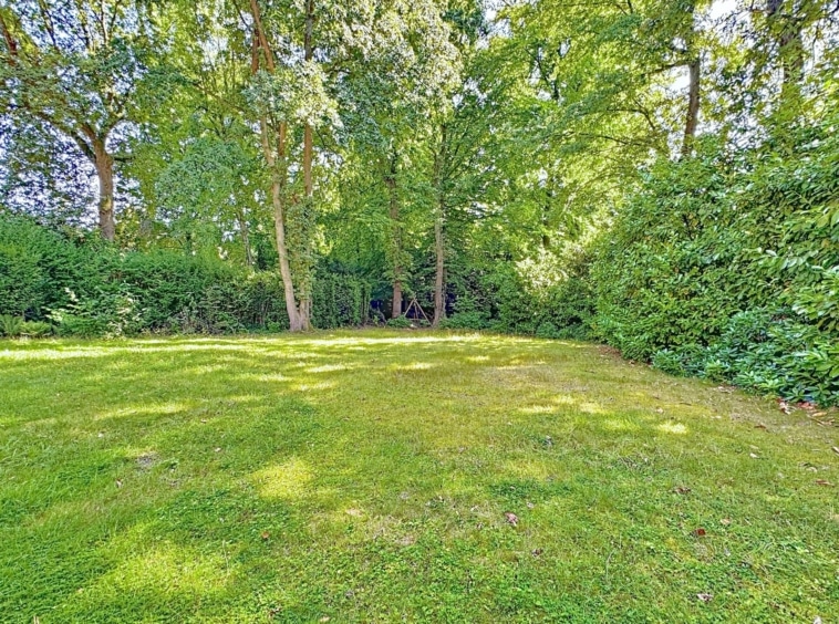 Jardin serein avec pelouse verdoyante, arbres matures et ambiance paisible pour la détente.