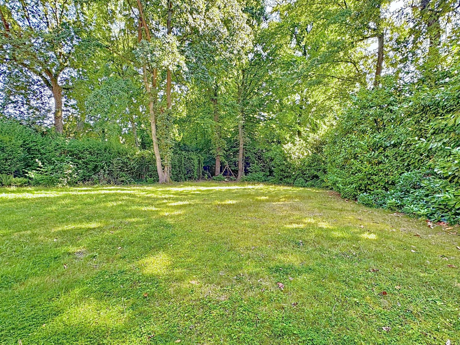 Jardin serein avec pelouse verdoyante, arbres matures et ambiance paisible pour la détente.