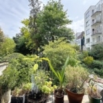 Balcon végétalisé offrant vue sur jardin urbain, arbres, buissons, immeubles modernes et ciel partiellement nuageux.