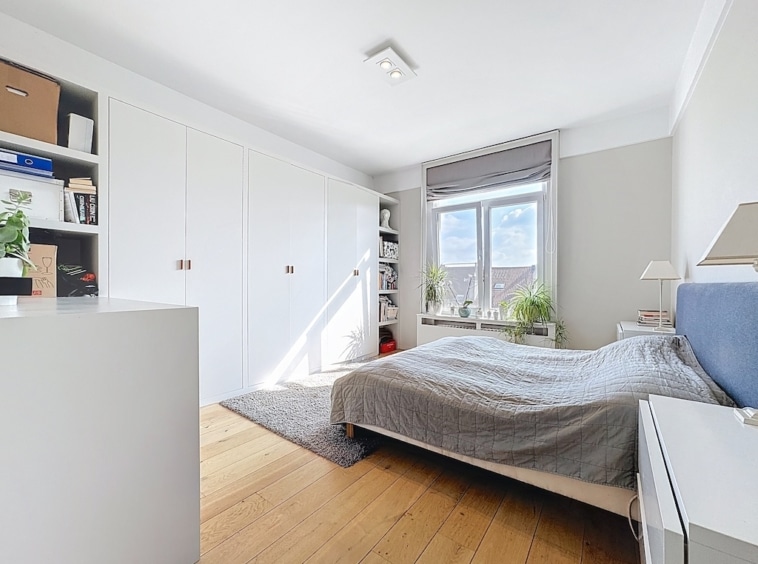 Chambre moderne minimaliste lumineuse avec lit gris, mobilier épuré et touches de verdure.