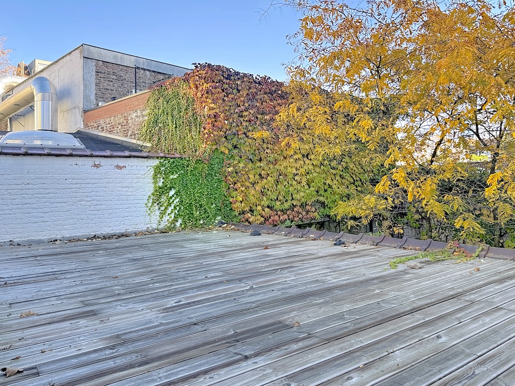 Terrasse urbaine avec végétation automnale, contraste entre nature colorée et bâtiment industriel.