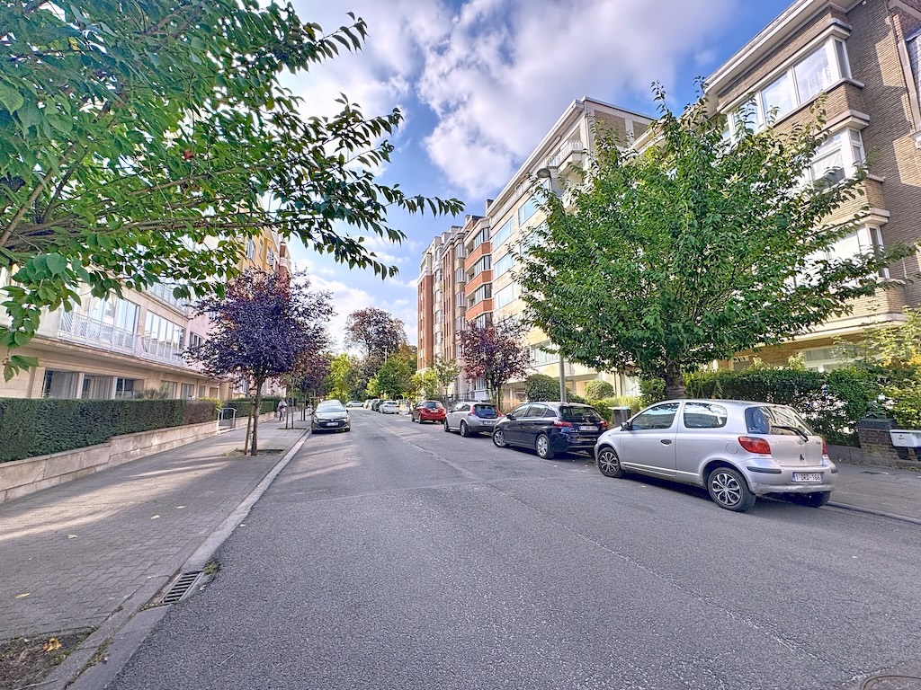 Rue résidentielle arborée, bâtiments variés, voitures garées, ciel bleu avec nuages blancs.