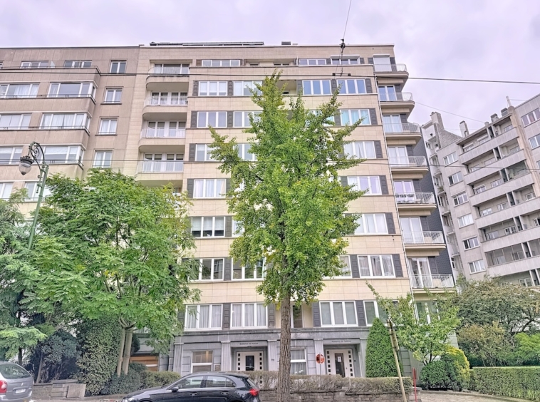 Immeuble résidentiel moderne avec grands fenêtres, arbre vert et ambiance urbaine sous ciel nuageux.