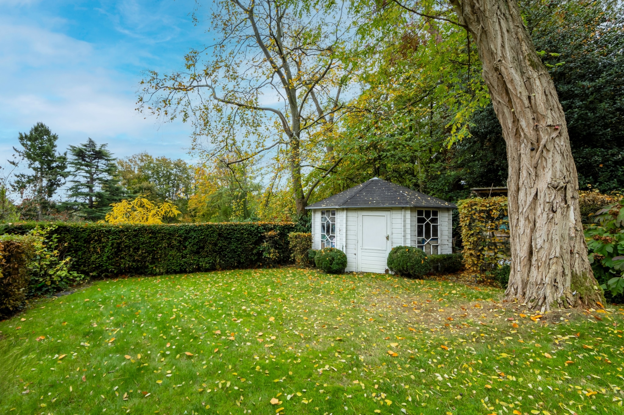 Jardin automnal avec cabane blanche, haies bien taillées et arbres dorés ensoleillés.