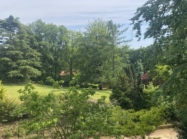 Paysage naturel verdoyant avec arbres variés, chemins sinueux et ciel léger et nuageux.