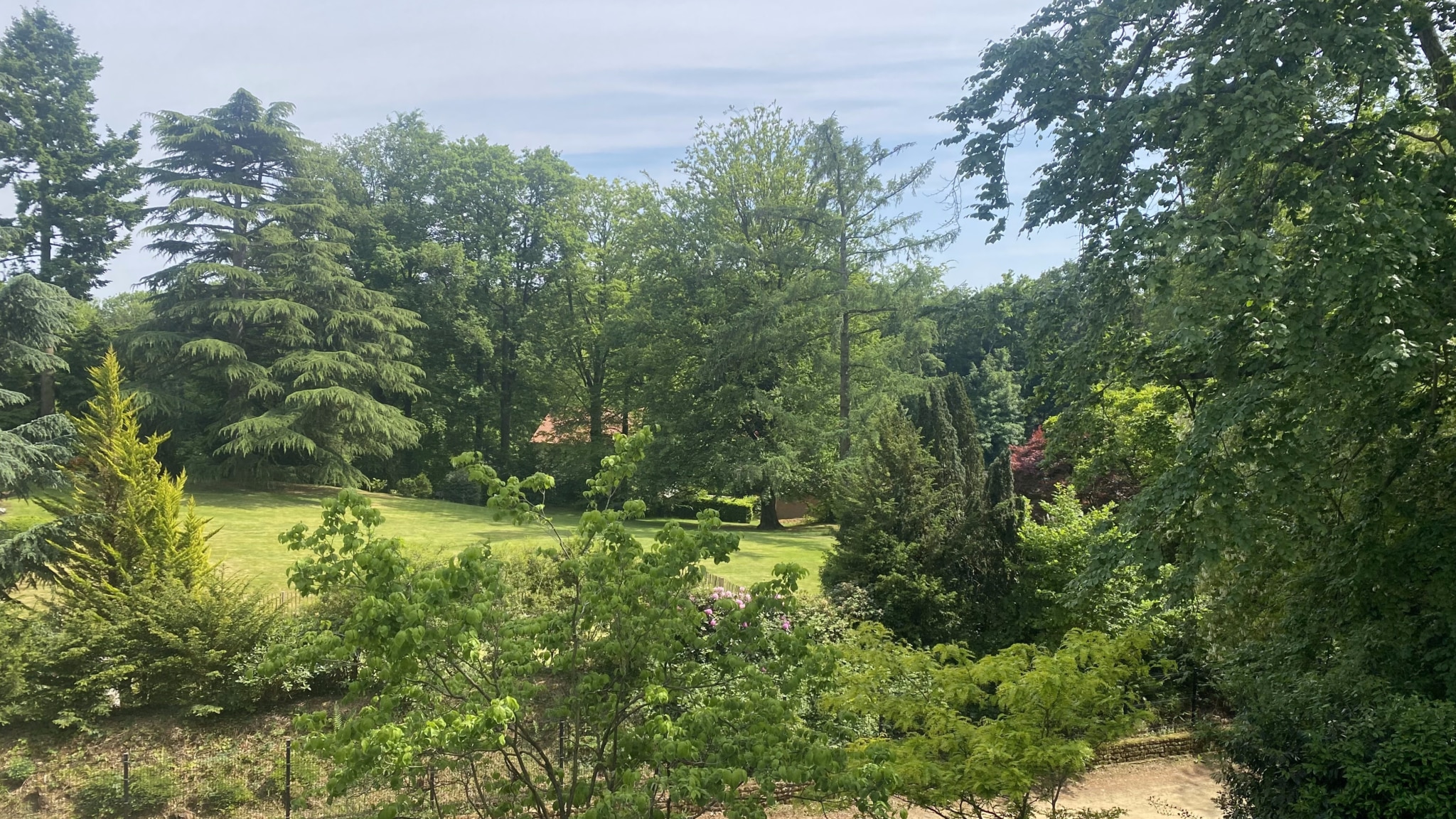 Paysage naturel verdoyant avec arbres variés, chemins sinueux et ciel léger et nuageux.