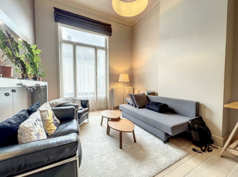 Salon élégant et cosy avec canapé gris, fauteuils en cuir, verdure et lumière naturelle.