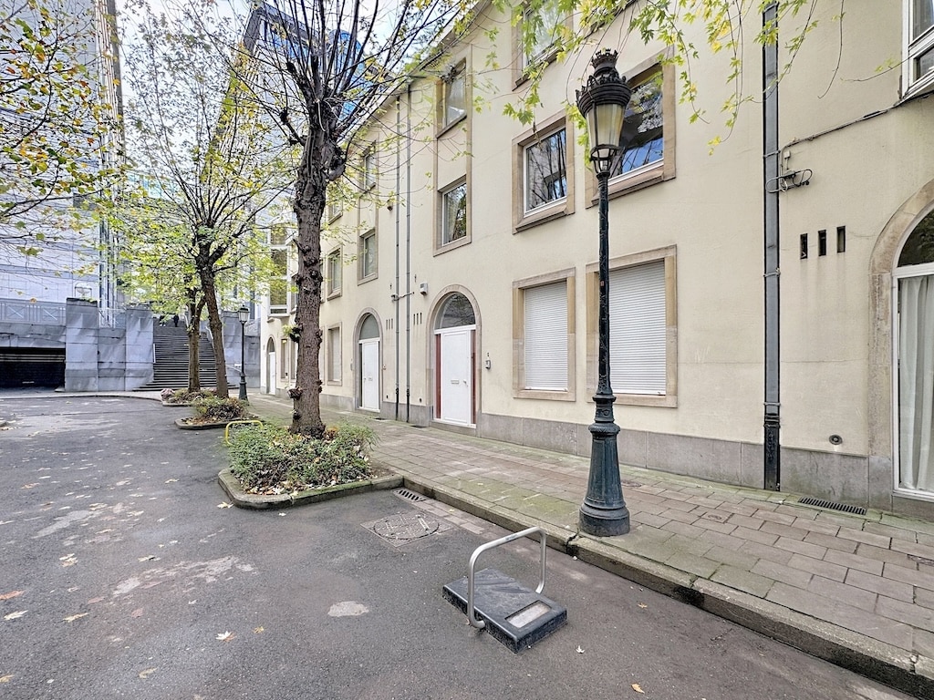 Rue calme d’automne avec arbres, bâtiments résidentiels, cartouche abandonné et espace de stationnement.