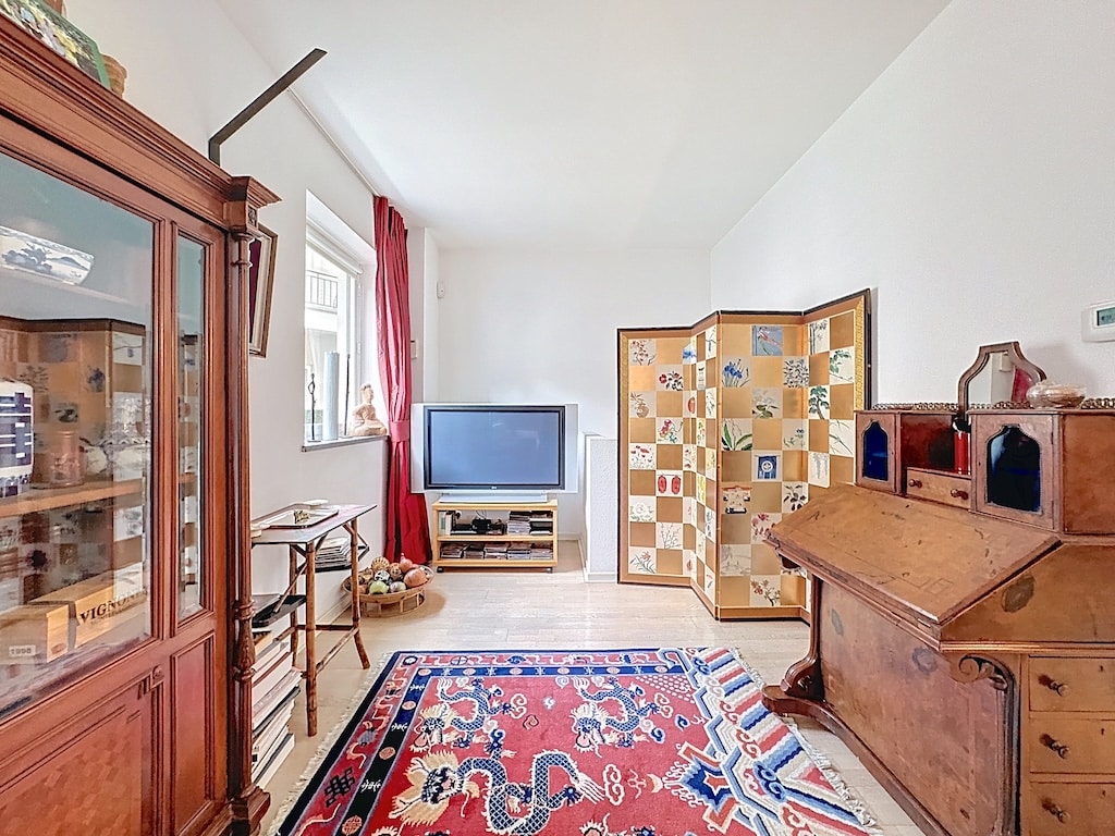 Salon cosy avec tapis coloré, mobilier vintage et moderne, ambiance chaleureuse et élégante.