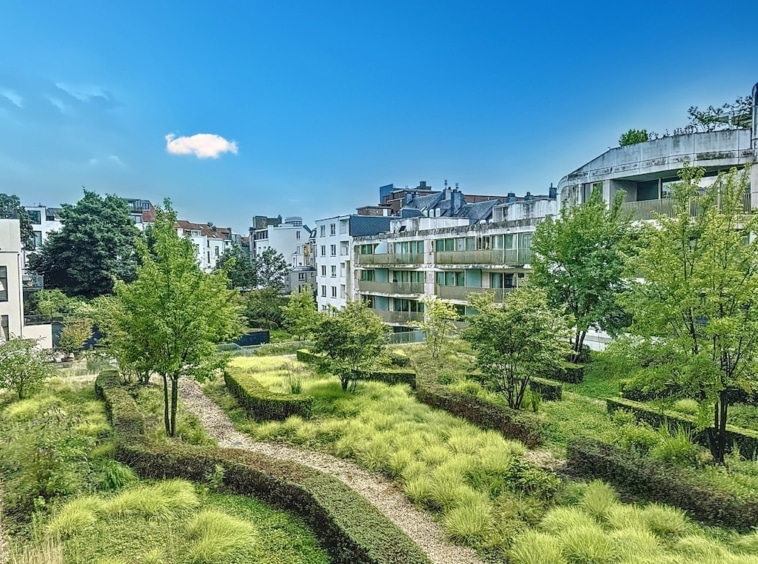 Jardin urbain moderne avec bâtiments contemporains, arbres ombrageants et ciel bleu lumineux.