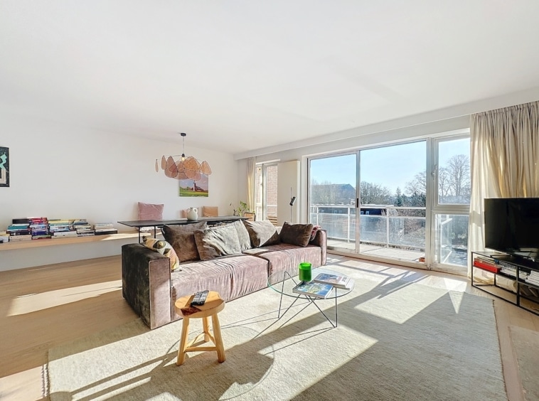 Salon moderne lumineux avec canapé confortable, mobilier en bois, grande fenêtre et ambiance chaleureuse.