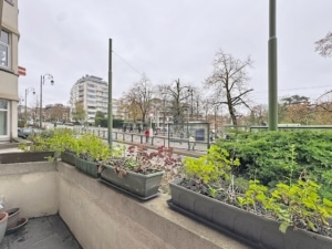 Balcon urbain floral avec végétation rue pavée bâtiments modernes et arbres dénudés en hiver