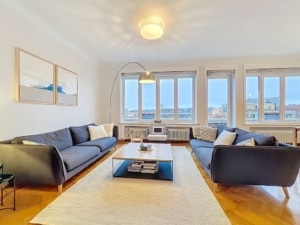 Salon moderne lumineux avec canapés gris lumière naturelle tapis doux et décoration élégante