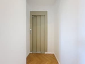 Hall dascenseur moderne minimaliste avec murs blancs porte beige sol en parquet chevron ambiance lumineuse
