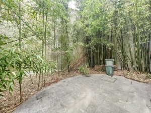 Jardin zen privé avec bambous espace calme accessoires fonctionnels et ambiance sereine