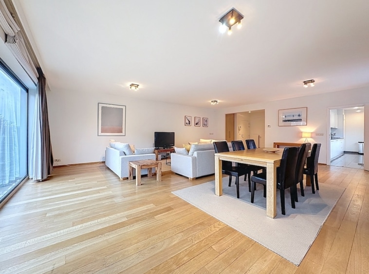 Living room - Parc du Cinquantenaire - 3bedroom apartment - furnished - Brussels