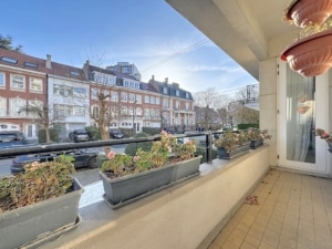 Balcon ensoleillé avec plantes fleuries vue paisible sur rue arborée et bâtiments colorés