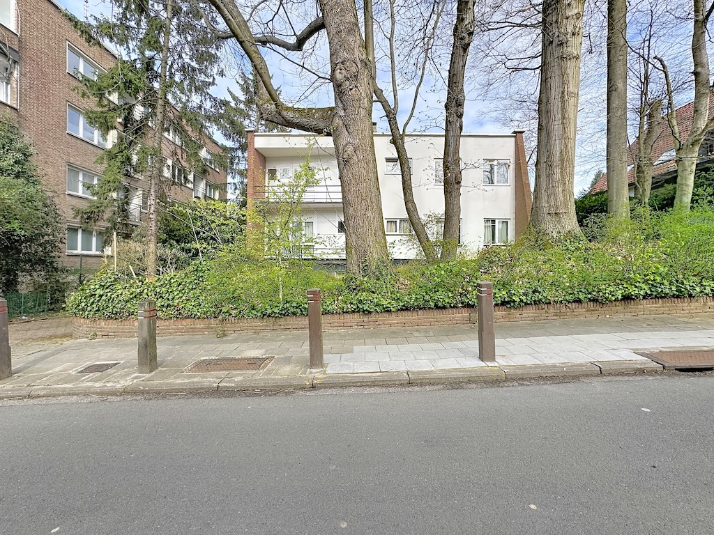 Rustig uitzicht op een woonstraat met trottoir, groene ruimte en moderne gebouwen in Parijs.