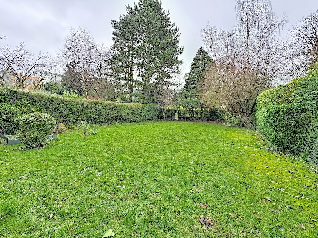 Large garden with lawn and hedges in Chestnut